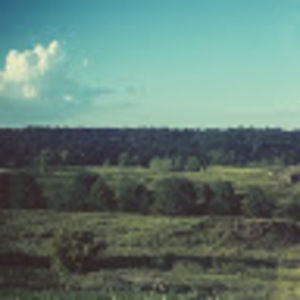 Meet your Posher, Karli